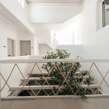 Mr & Mrs White Mykonos بلاتيس يالوس