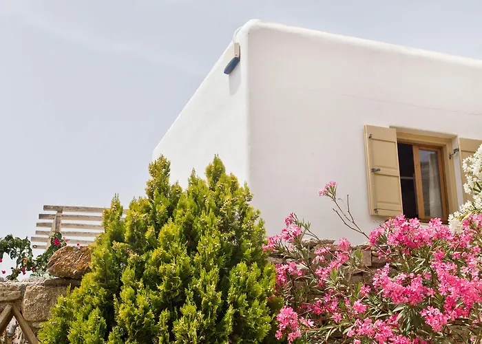 Mr & Mrs White Mykonos Hotel 4*