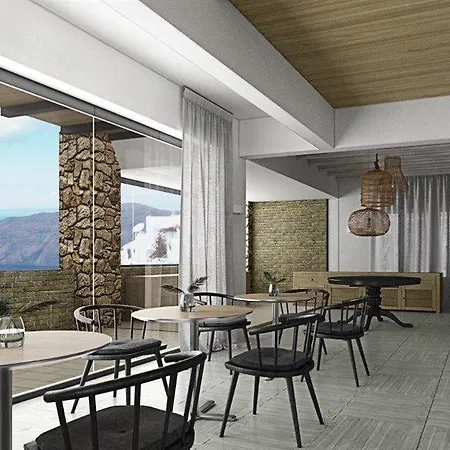 Mr & Mrs White Mykonos 酒店 普拉迪斯亚罗斯